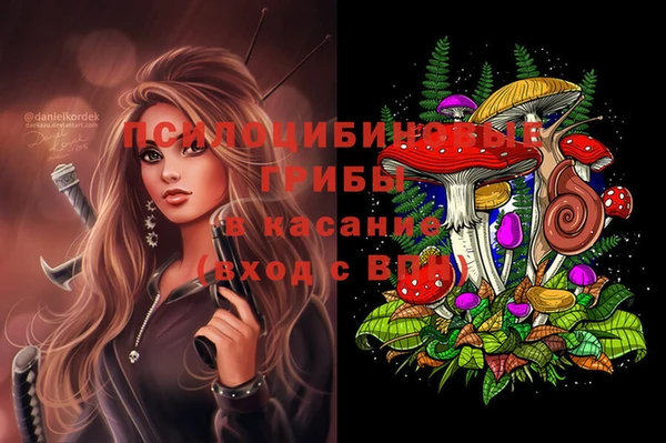 винт Абинск