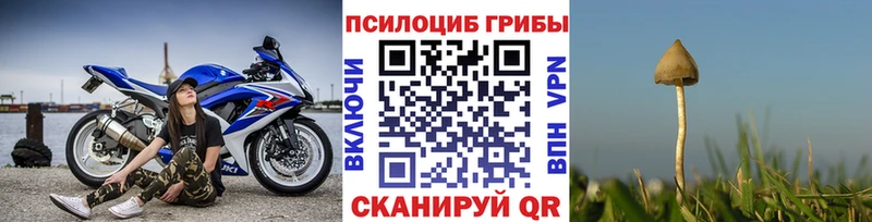 Псилоцибиновые грибы ЛСД  где купить наркоту  Абдулино 